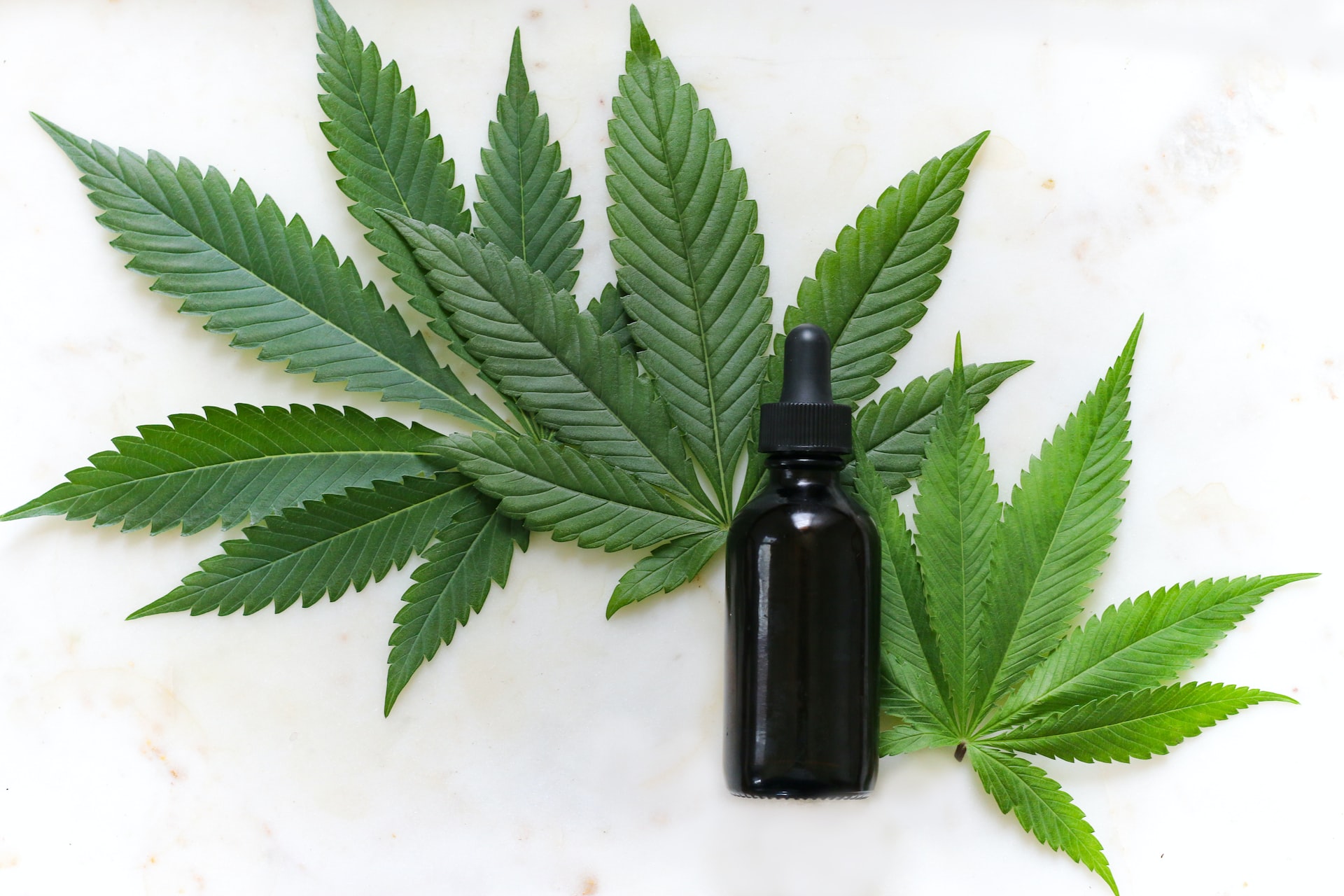 CBD Store Breathes New Life