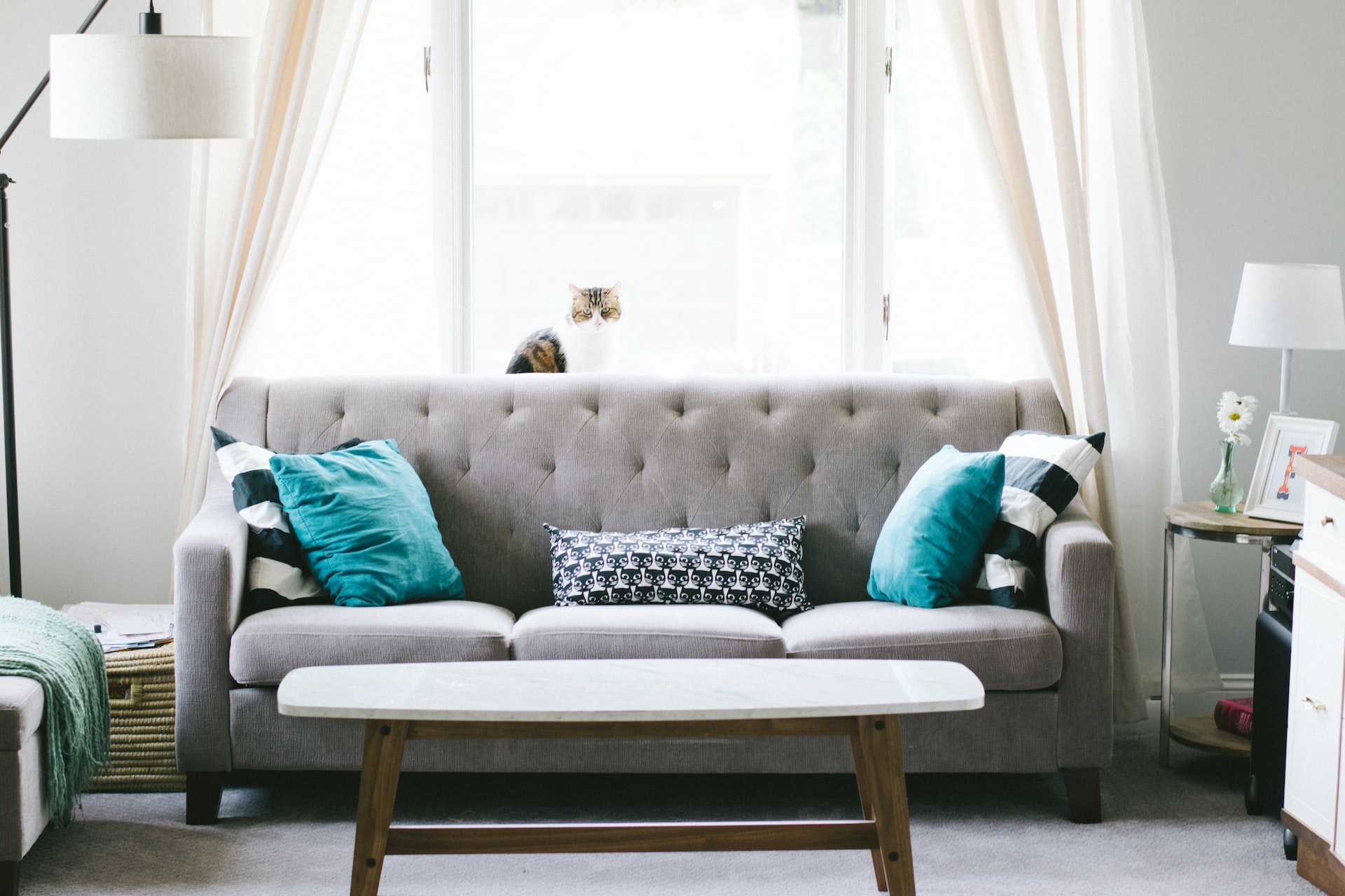 Furniture Store Remodels