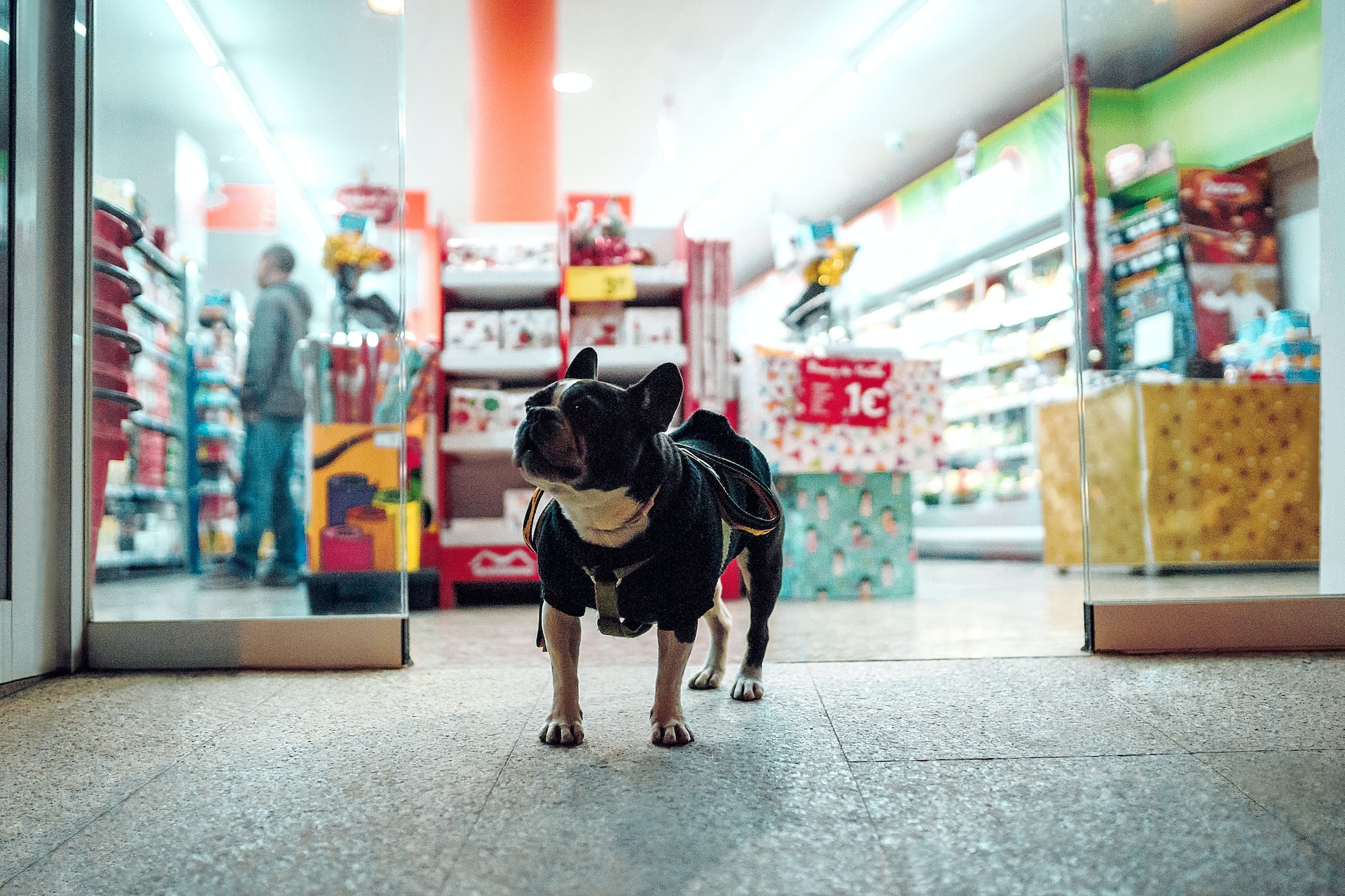 Pet Store Finds A New Owner